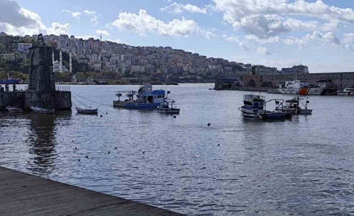 Zonguldak Limanı sarı renge boyandı