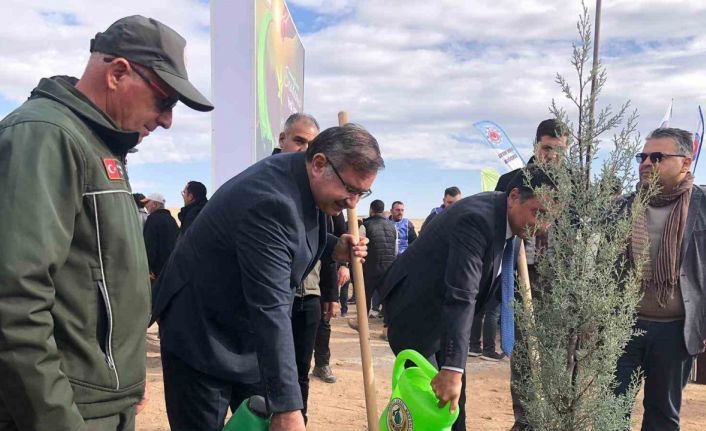 11 Kasım Milli Ağaçlandırma Günü’nde 20 bin fidan dikildi