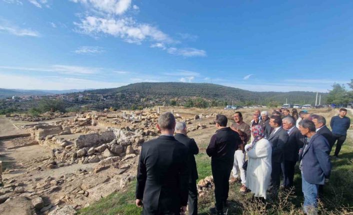 4 bin yıllık Hyllarima Antik Kentinde Zeytin hasadı