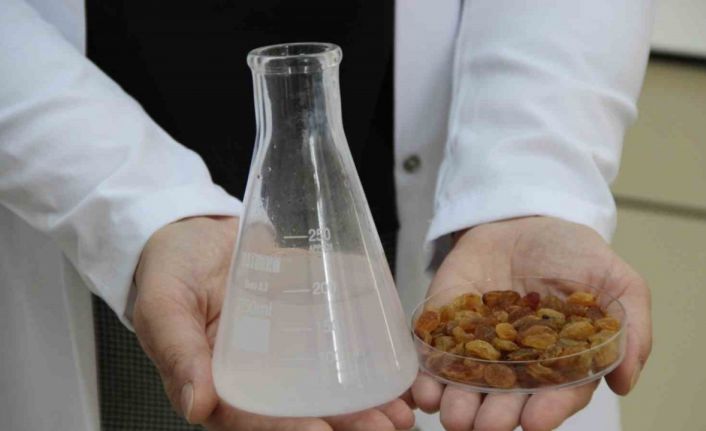 500 milyon dolarlık ihracata bilimsel kalkan