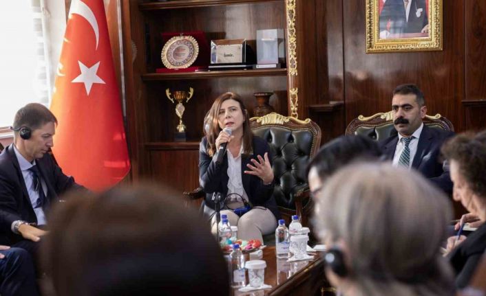AB Türkiye Delegasyonu heyetinden Diyarbakır açılımı