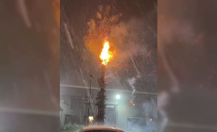 Adana’da düşen yıldırımlar yangına neden oldu