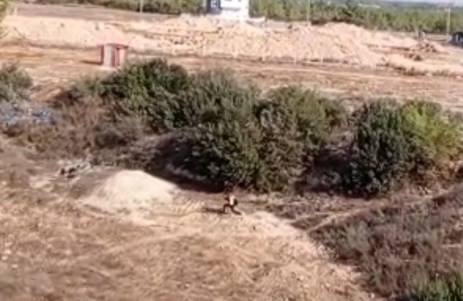 Adana’da nefes kesen kovalamaca: Firari hükümlü boş arazide yakalandı