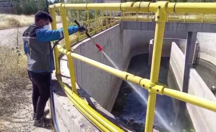Adıyaman Belediyesi larva mücadelesini yoğunlaştırdı