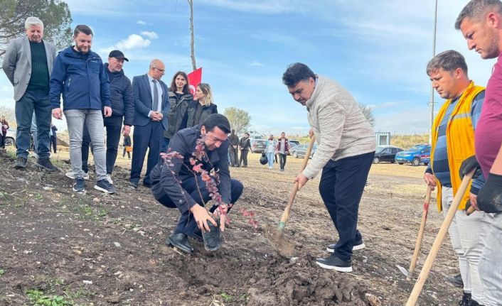 Ağaçlandırma günü etkinliği Havran’da gerçekleştirildi