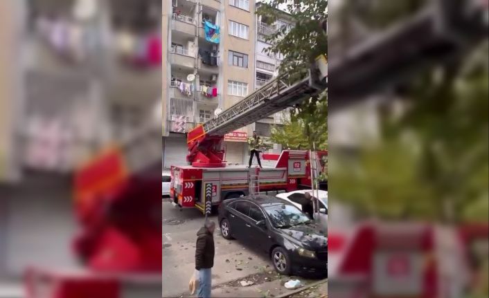 Ağaçta mahsur kalan kediyi kurtarmak için seferber oldular