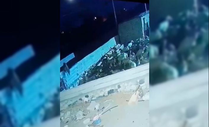Ağıla giren kurt koyunu telef etti: O anlar kamerada