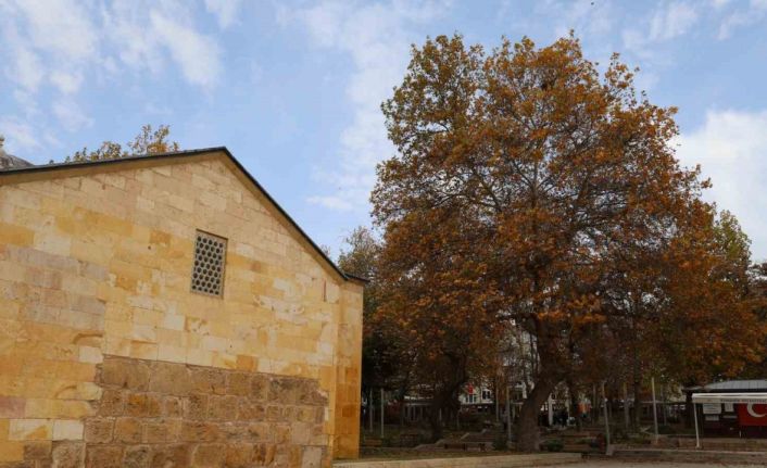 Ahi Evran Külliyesi’nde sonbahar güzelliği