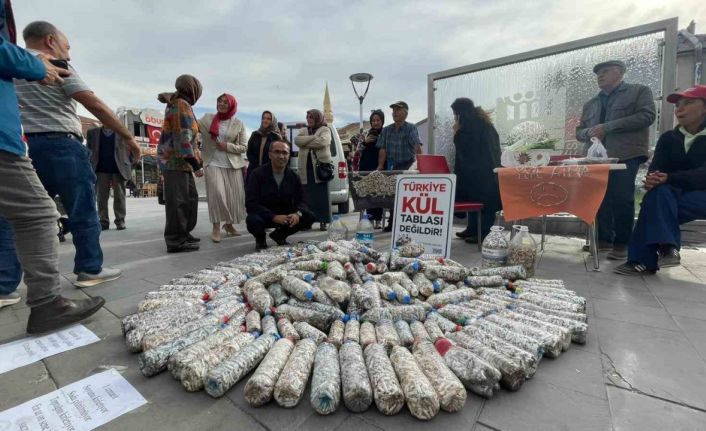 Akademisyen ve gönüllüler 2 ayda 100 bin sigara izmariti topladı