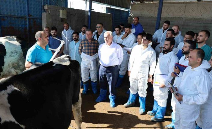 Aksaray’da 60 ilin personeline ineklerin başında uygulamalı eğitim