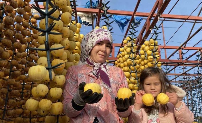 Alaşehir’de ilk kez ’Cennet Hurması Festivali’ düzenlenecek