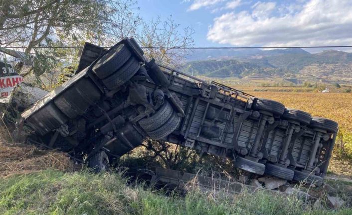 Alaşehir’de süt tankeri üzüm bağına uçtu