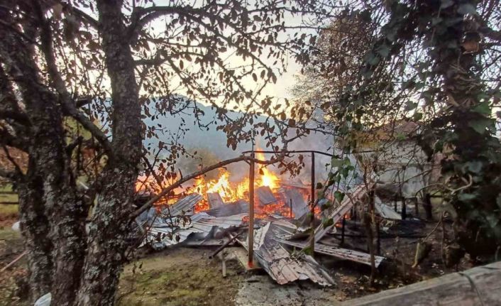 Alevlere teslim olan ahşap evdeki 5 kişi dumandan etkilendi