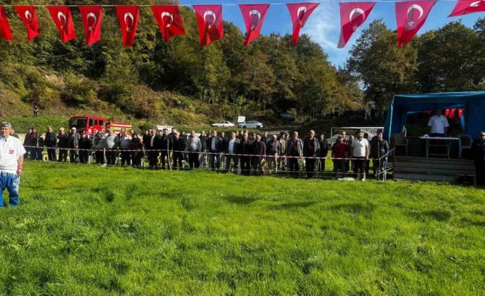 Alioğlu güreşlerinde pehlivanlar kıyasıya mücadele etti