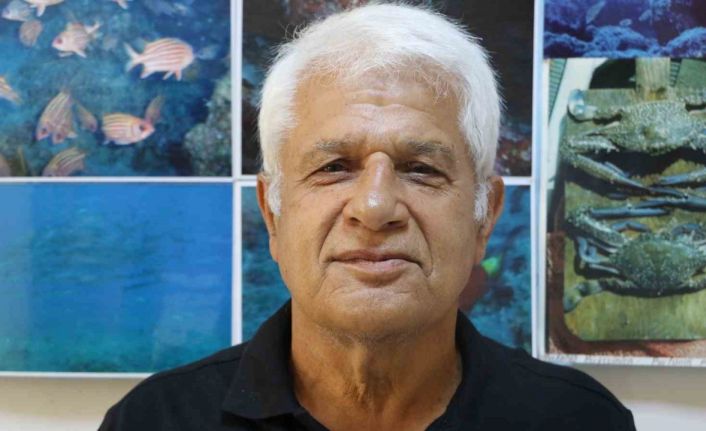 Amatör kıyı balıkçısının oltasına köpek balığı takıldı