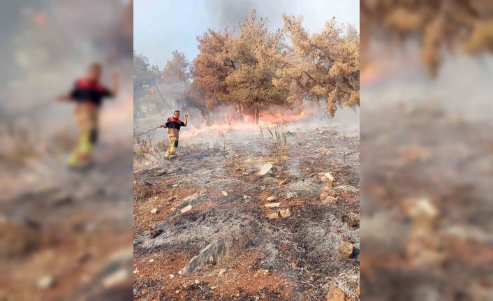 Antakya’da orman yangını