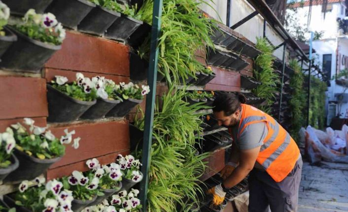 Antalya’da 4 milyon çiçek toprakla buluşuyor