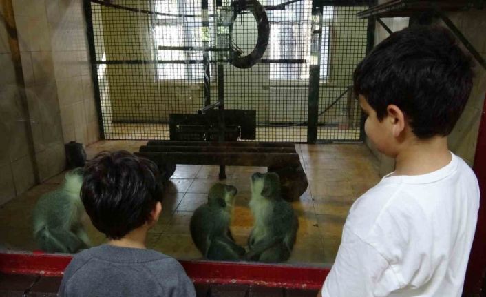 Ara tatile çıkan öğrenciler soluğu hayvanat bahçesinde aldı