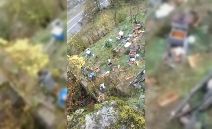 Araklı’da ayılar 50’den fazla kovanı telef etti