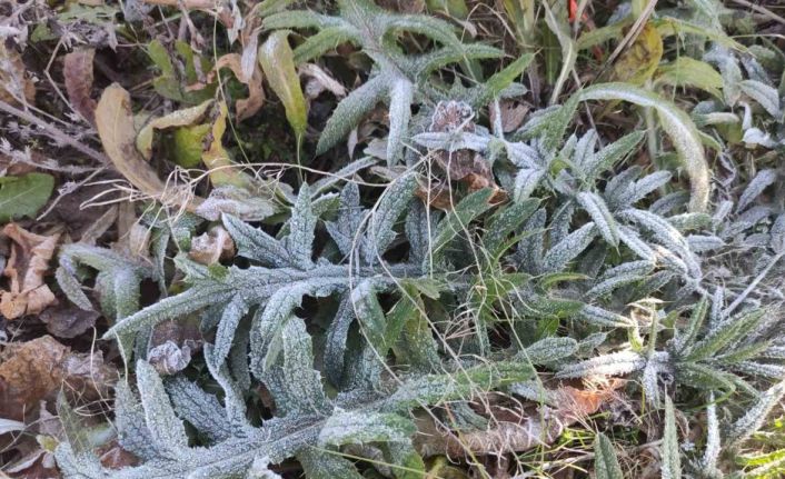 Ardahan’ın Göle ilçesi Türkiye’nin en soğuk yerleşim yeri oldu