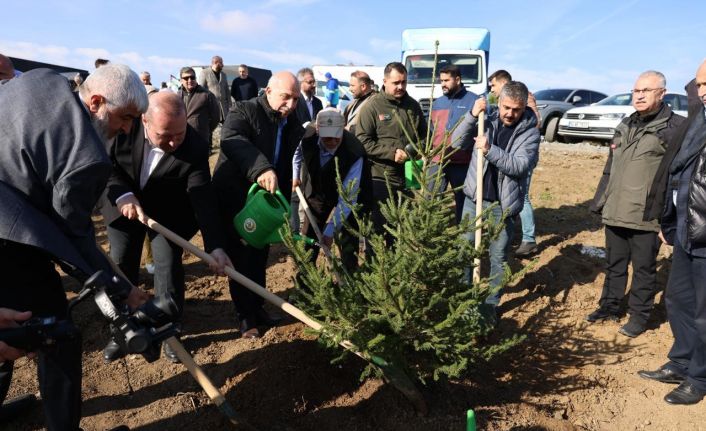 Arnavutköy’de Gazze için 10 bin fidan dikildi