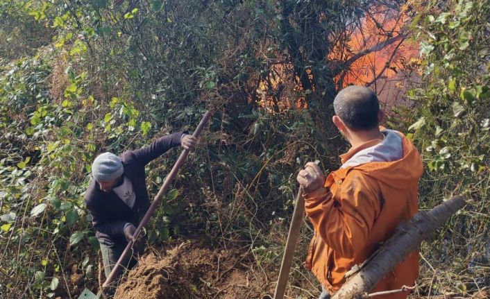 Artvin Hopa’da 5 hektarlık alanı küle çeviren yangınla mücadele sürüyor