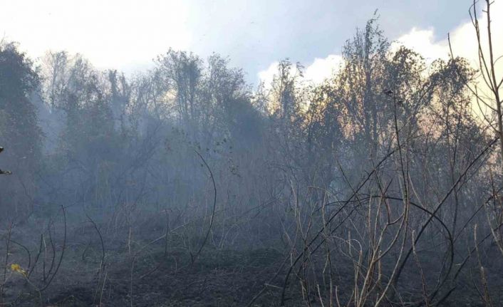 Artvin Hopa’da ziraat alanında çıkan yangın ormana sıçradı