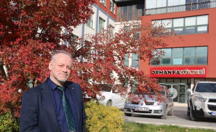 Artvin’de başlayan zararlı, Marmara’ya ulaştı