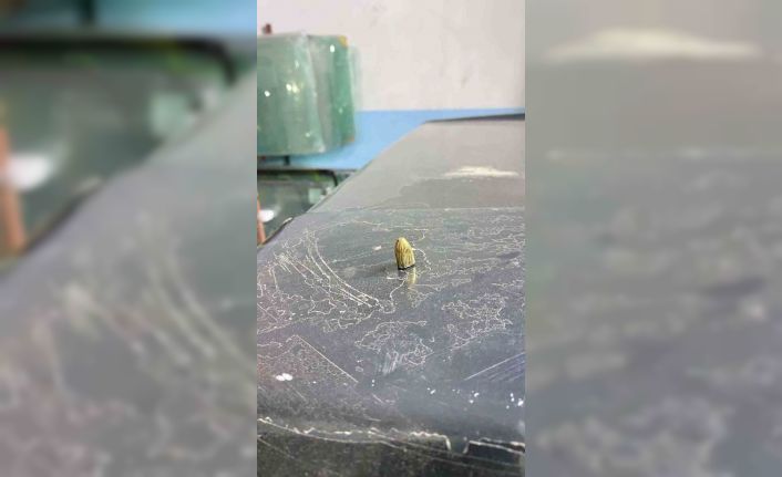 Artvin’de maganda kurşunu park halindeki araca ve iş yerine isabet etti