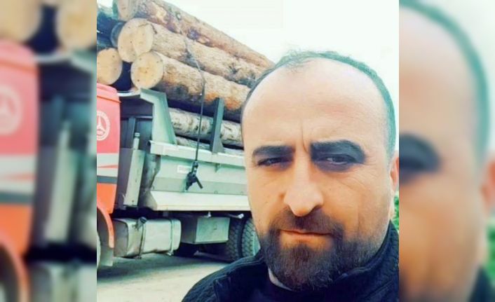 Artvin’de üzerine ağaç devrilen şahıs hayatını kaybetti