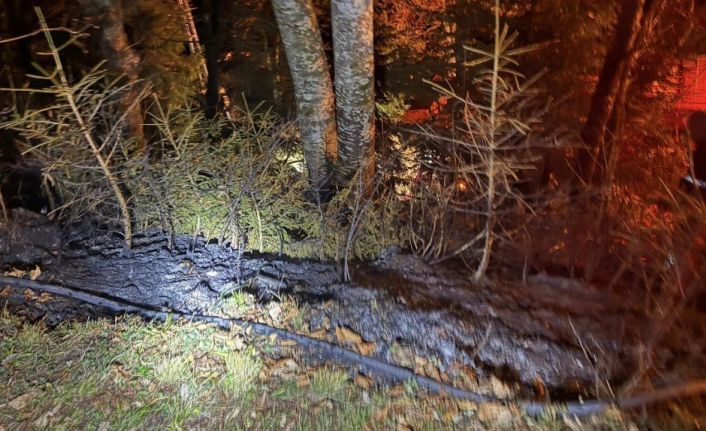 Artvin’de zirai alanda yangın kısa sürede söndürüldü