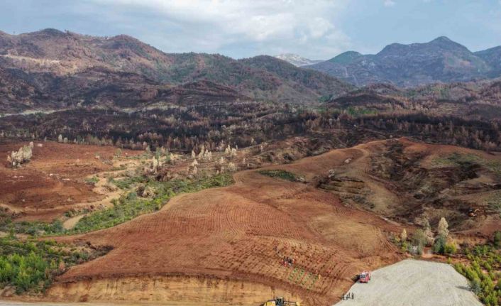 Aydın’da 17 lokasyonda fidan dikilecek