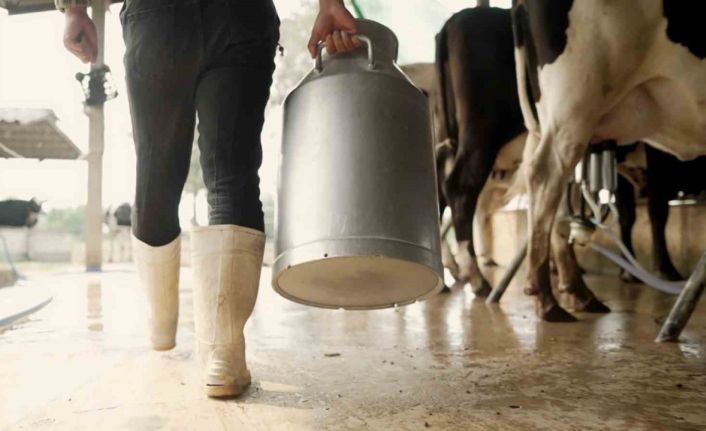 Aydın’da 9 bin 543 üreticiye toplam 66 milyon TL ödeme yapılacak