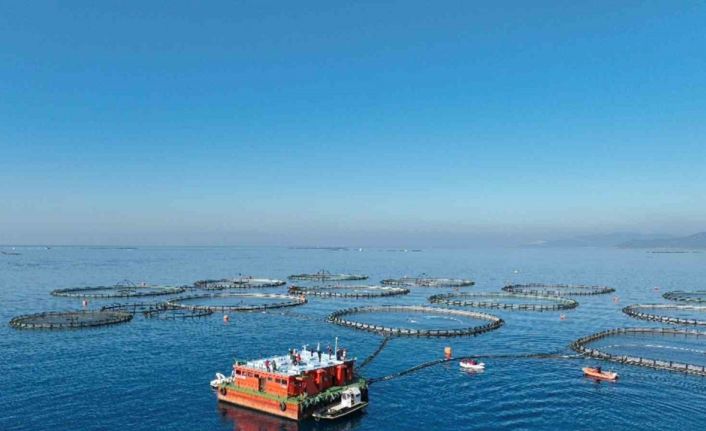 Aydın’da su ürünleri destekleme başvuruları başladı