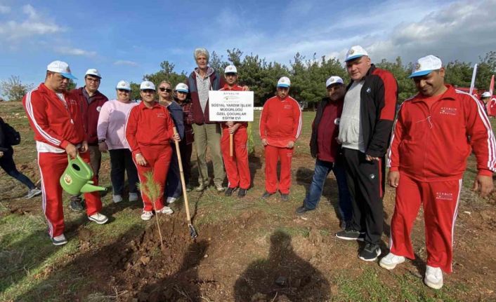 Ayvalık’ta ertelenen fidan dikim etkinliğine ilgi yoğun oldu