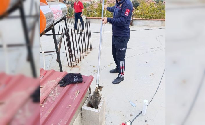 Bacaya sıkışan kediyi itfaiye kurtardı