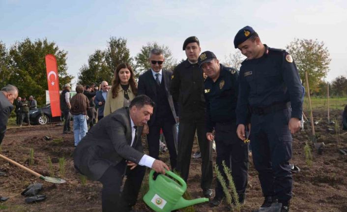 Bafra’da 8 bin fidan toprakla buluştu