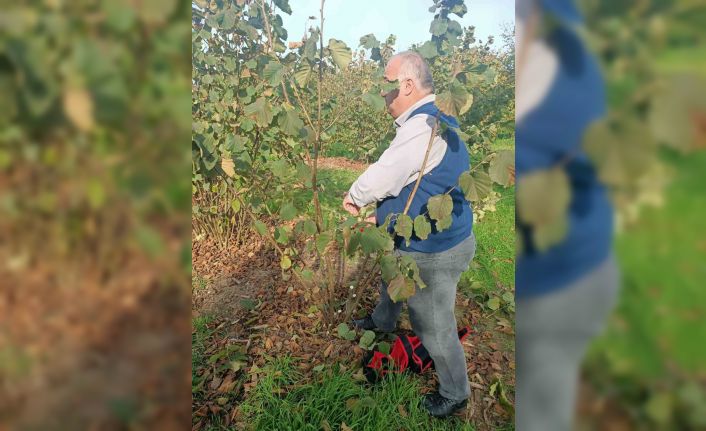 Bahçelerde toprak analizi ve zararlı tespiti