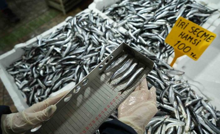 Balık tezgahlarına yakın markaj: 109 kişi ve işletmeye 2,5 milyon TL ceza