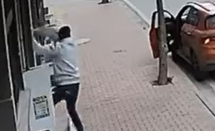 Balkona tırmanıp cins kediyi çaldı