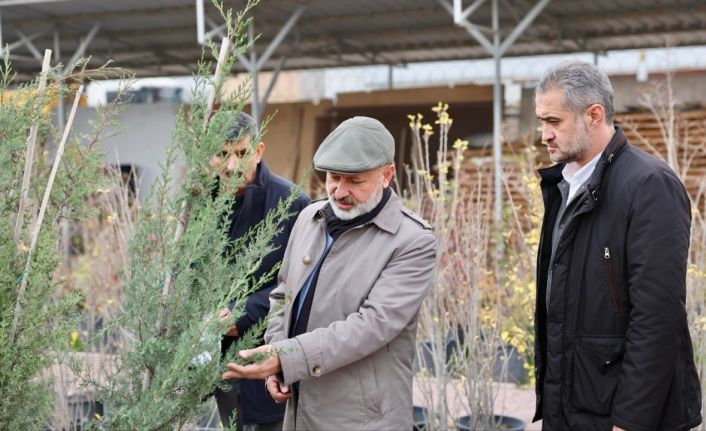 Başkan Çolakbayrakdar: "Kocasinan’ı her köşesiyle yeşile bürüyerek, şehrimizi yeşilin başkenti yapacağız"