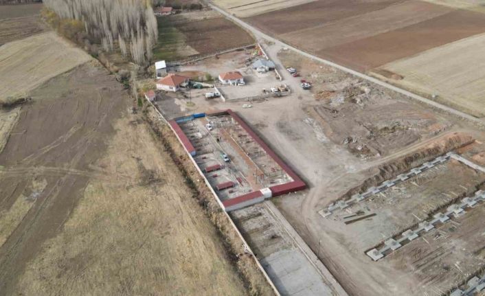 Başkan Metin’den sokak hayvanları için örnek hizmet