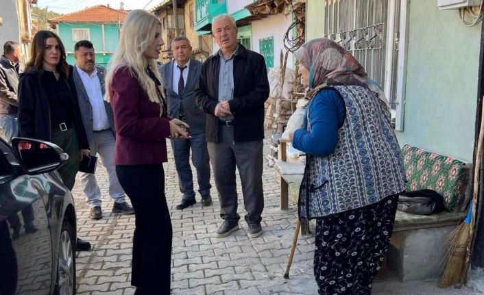 Bayan Kaymakam köy köy dolaşıyor