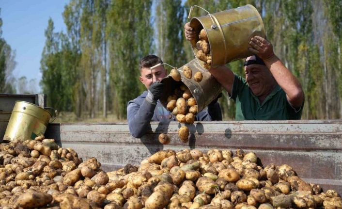 Bayburt’ta patates hasadı yüz güldürdü