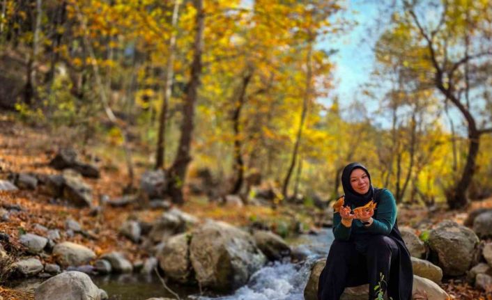 Belemedik, sonbaharda renk cümbüşüne büründü