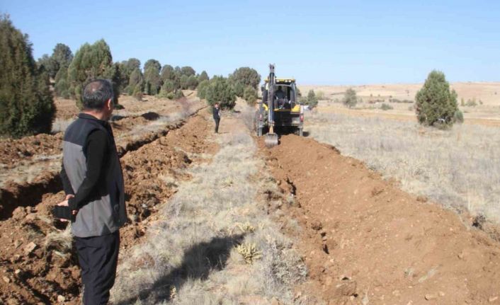 Beyşehir’de 11 bin orman fidanı daha toprakla buluşturulacak