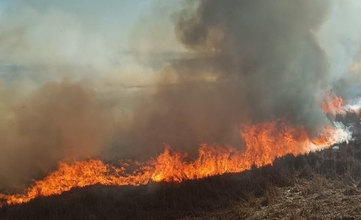 Beyşehir’de sazlıklar alev alev yandı