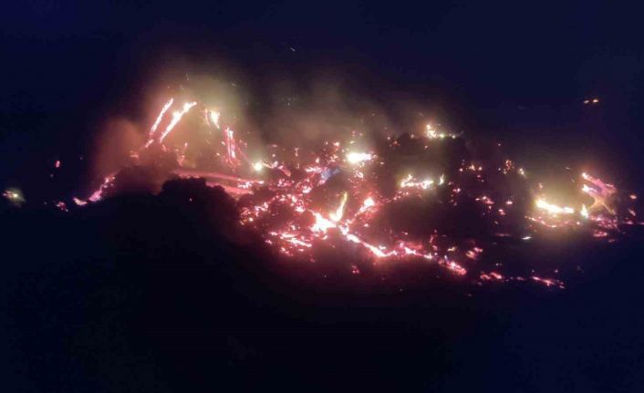 Bilecik’te çürümüş ağaç ve kökler yakılırken alevler kontrolden çıktı