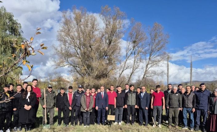 Bilecik’te Merve öğretmen anısına 72 fidan dikildi