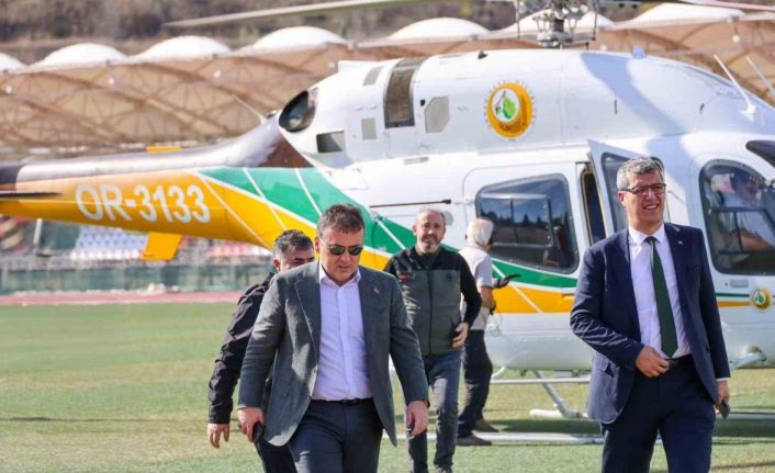 Bilecik’te yanan ormanlar yeniden hayat buluyor